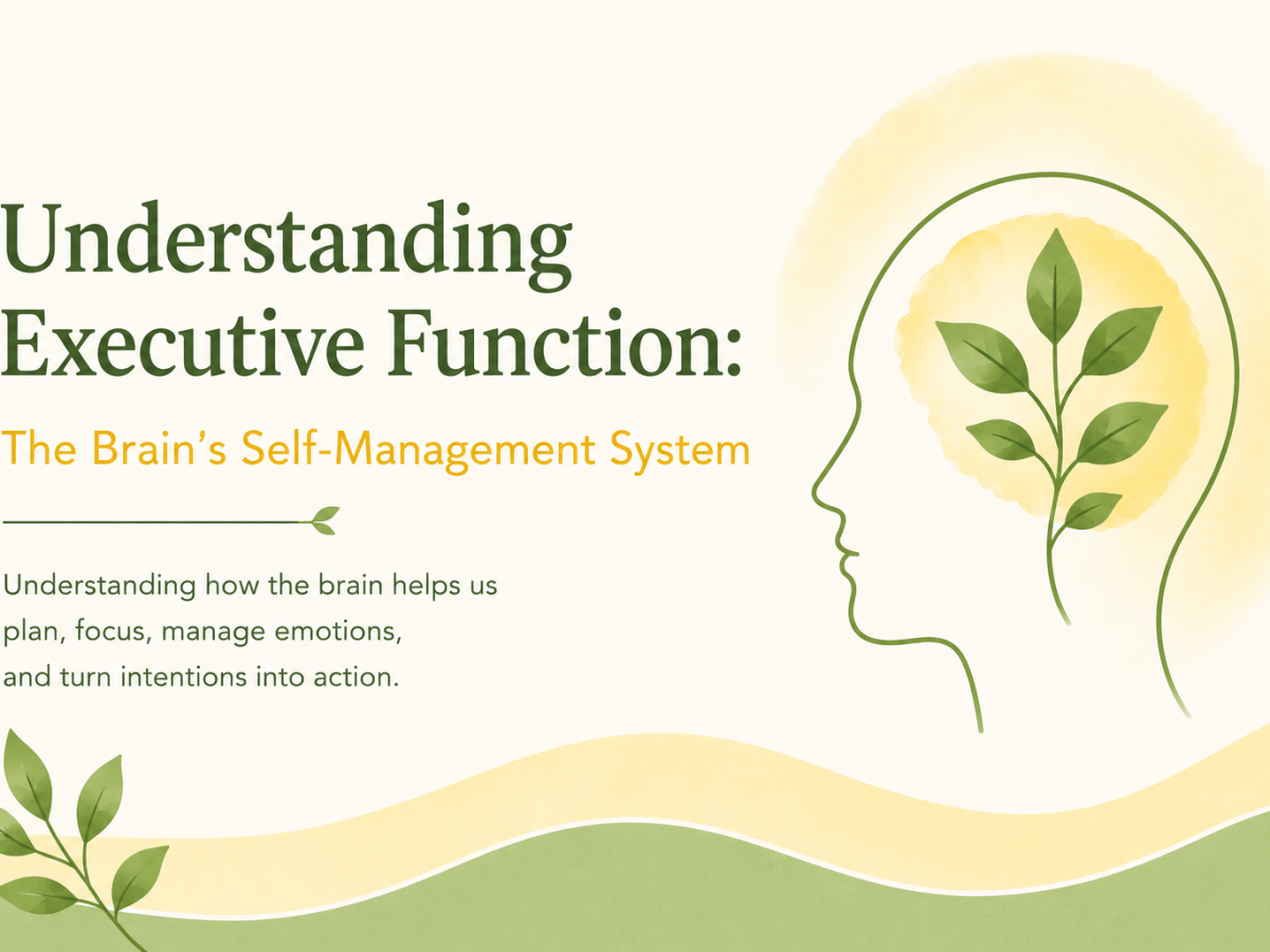 Understanding Executive Function: The Brain’s Self-Management&nbsp;System